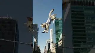 Daredevil cat walks a tightrope and flips in midair! 😼💥 #cute #cat #trending