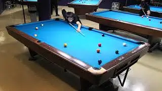 Fred vs Peter Frame 3