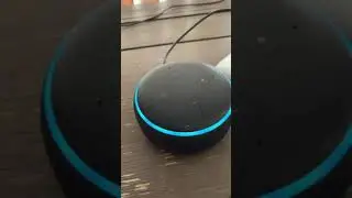 Alexa ДЕТЕКТОР ПРИВИДЕНИЙ 👻 [Жуткая пасхалка Echo Dot!]