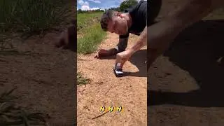 Dwarf people funny video. #dwarfs