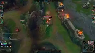 Janna Baron Steal