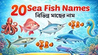 ২০টি সামুদ্রিক মাছের নাম | Sea Fish Names | Bangla & English for Kids | Preschool Education