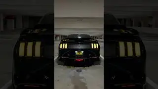Sometimes Talent isnt enough. #ford #mustang #motivation #fyp #shorts #explore #carcommunity #jdm