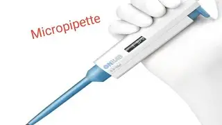 Micropipette parts and use 🔍# Dive into the fascinating world of science