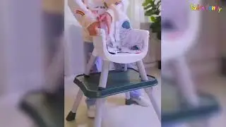Fab N Funky 2 in 1 Baby Chair with 5 Point Safety Harness