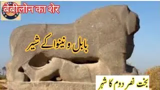 Lion of the Babylon ( Mesopotamia) Nabuchadnazzer 2 | Bakht Nasar2|Babil city IraqRiver Euphrates|