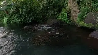 Refreshing spring water in tahiti