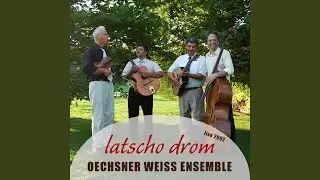 Lulu Swing (Live)