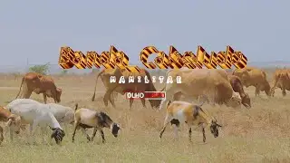 Banda_Cabeludo_Mamilitar_Officia Video Charleezy Olho limpo 1080