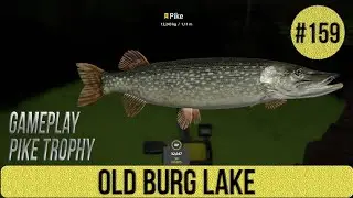 Russian Fishing 4 - Old Burg Lake - Gameplay Pike Trophy - #159