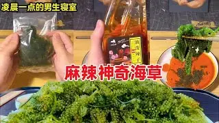 深夜男生寝的快乐！麻辣脆爽海草 + 滋滋冒油烧烤，谁顶得住啊！
