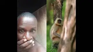 HOST SEX MONKEY 🐒 @kingchasama 