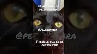 @pelo sombra