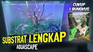 Aquascape Tanpa CO2 Tema Natural