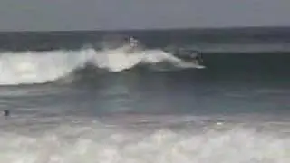 reef road