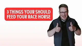 3 Things You Should Feed Your Race Horse