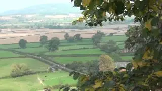Stallings Family Search-Montgomery Castle, Wales