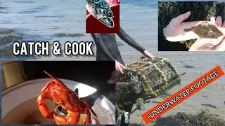 CATCH N COOK SHORE CRABS - Crab Spaghetti