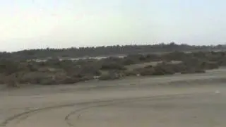 lady's mile beach