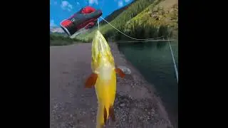 Real VR Fishing on Oculus Quest 2