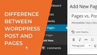 What’s the Difference Between WordPress Post and Pages?