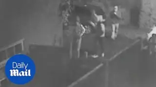 Thieves jump over fence before burgling pensioner's house