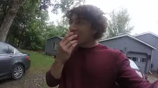 How To Eat A Tomato