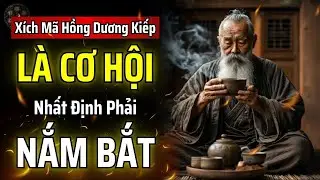 XÍCH MÃ HỒNG DƯƠNG KIẾP LÀ CƠ HỘI HIẾM CÓ - BẠN NHẤT ĐỊNH PHẢI NẮM BẮT LẤY NÓ | THUẬT CỔ NHÂN