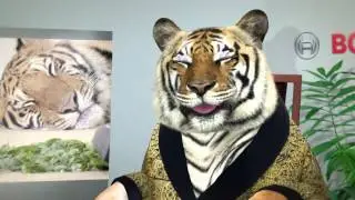 The BOSCH TV ad -- tiger's commentary