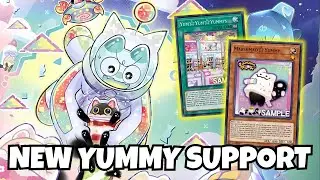 New YUMMY Deck Support! INSANE Combos & YUGIOH Deck Profile