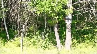 Homes for Sale - Lot 2 Block 1 Stone Brook Acres Pequot Lakes MN 56472 - MARVIN STRONG