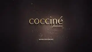 Піно очисник для взуття Coccine NANO SHAMPOO FOAM для взуття 55/547/150