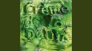 Kopie