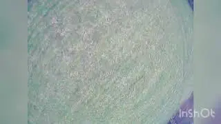 First flight edit. 95GF