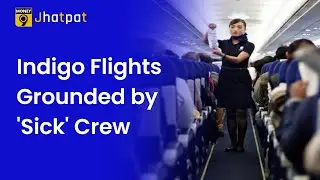 Money9 Jhatpat: Over 50% IndiGo flights delayed as crew members go for job interviews