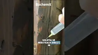 Lemn atacat de insecte - Bochemit Plus I, tratament lemn care te scapa definitiv de insecte.