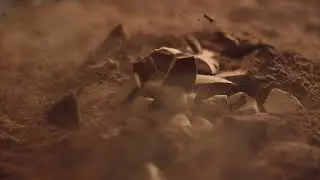 Raw Chocolate Chunks Falling Into Powdered Chocolate in Super Slow Motion Pieces of Chocolate Drops