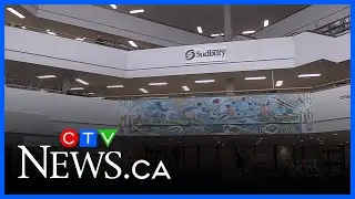 Sudbury CAO axes 6 senior positions, cites need for new direction, leadership