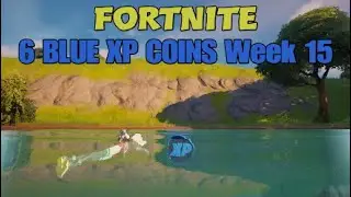 Fortnite* 6 Blue XP Coins, Week 15 Chapter 2 Season 5.