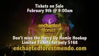 Enchanted Forest Gathering 2015 Recap