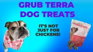 GRUB TERRA DOG TREATS - The Ultimate Snack For Dogs! #grubterra #dogs #reviews
