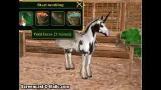 A Virtual Horse - My Job
