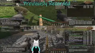Wurm Online-Cadence 39:  More Work