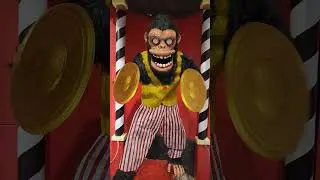 Monty the Monkey #shorts