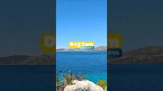 Dog Cam | Scent of the Sea, Path of Earth | Insta360 Go 3s