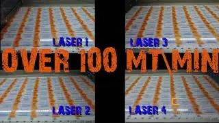 SEI LASER LabelMaster,  