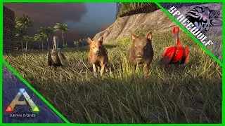 Ark Survival Evolved - The Island | #91 Alphabetical Taming Hyaenodon and Ichthyornis!