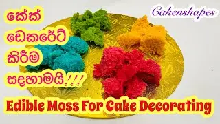 ලේසියෙන්ම ඇත්ත වගේ Edible Moss හදමු! 🔥 කේක් ඩෙකරේට් කරන අලුත්ම විදිය | cakenshapes