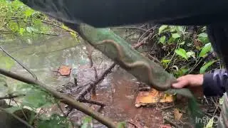 V&agrave;o mấy c&aacute;i ao ngon gh&ecirc; c&aacute;i kết#(mybp )