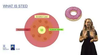 Mastering Imaging Challenges: Overcoming High Background Fluorescence and Low Target Expression